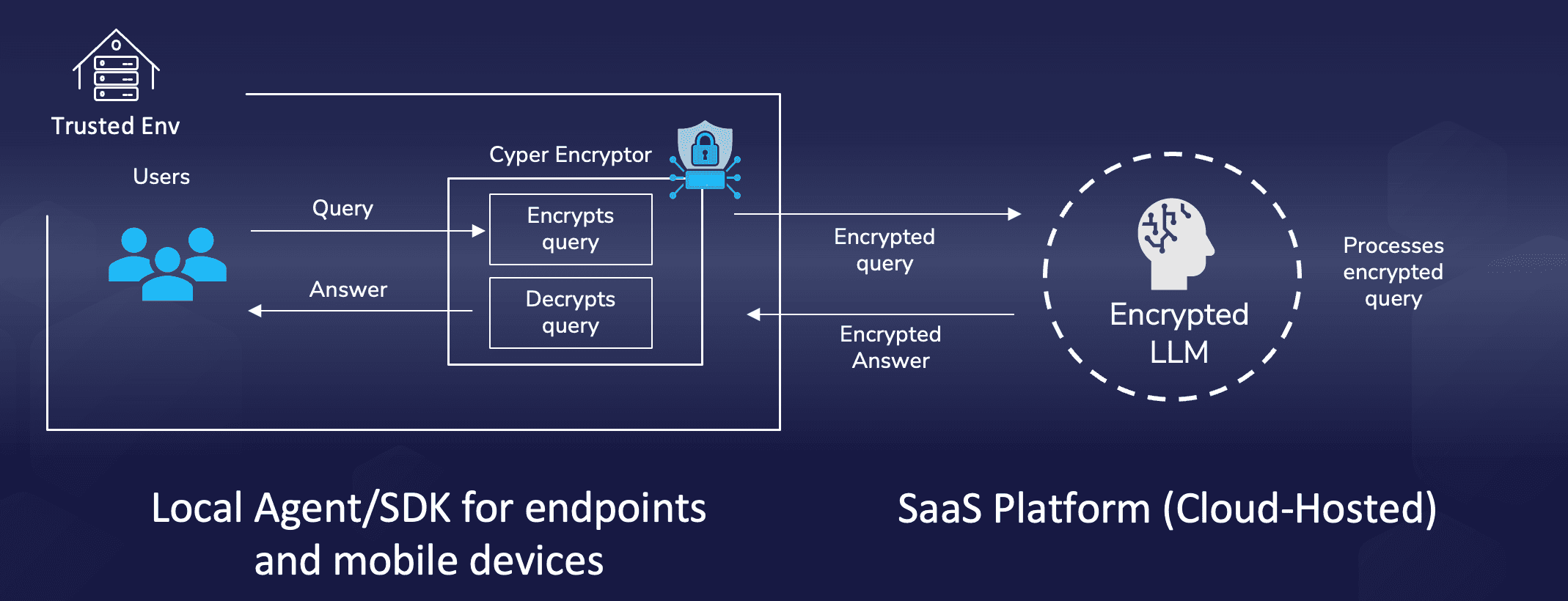 Encrypted LLM Inference Architecture